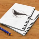 دفتر خطدار پانداک طرح وال - 1