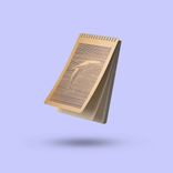 دفتریادداشت خطدار پانداک طرح وال - Image 1